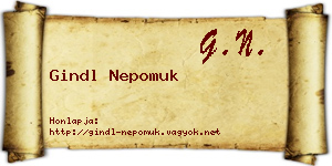Gindl Nepomuk névjegykártya
